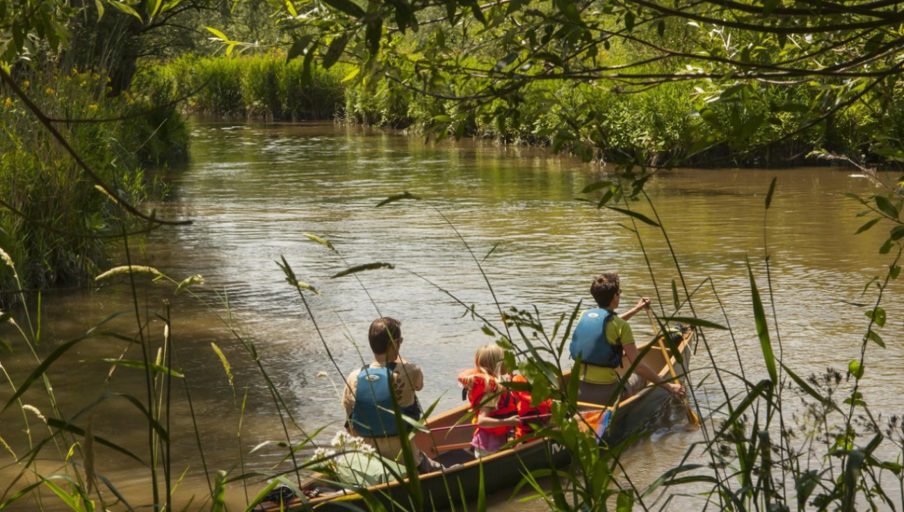 Nationaal Park de Biesbosch